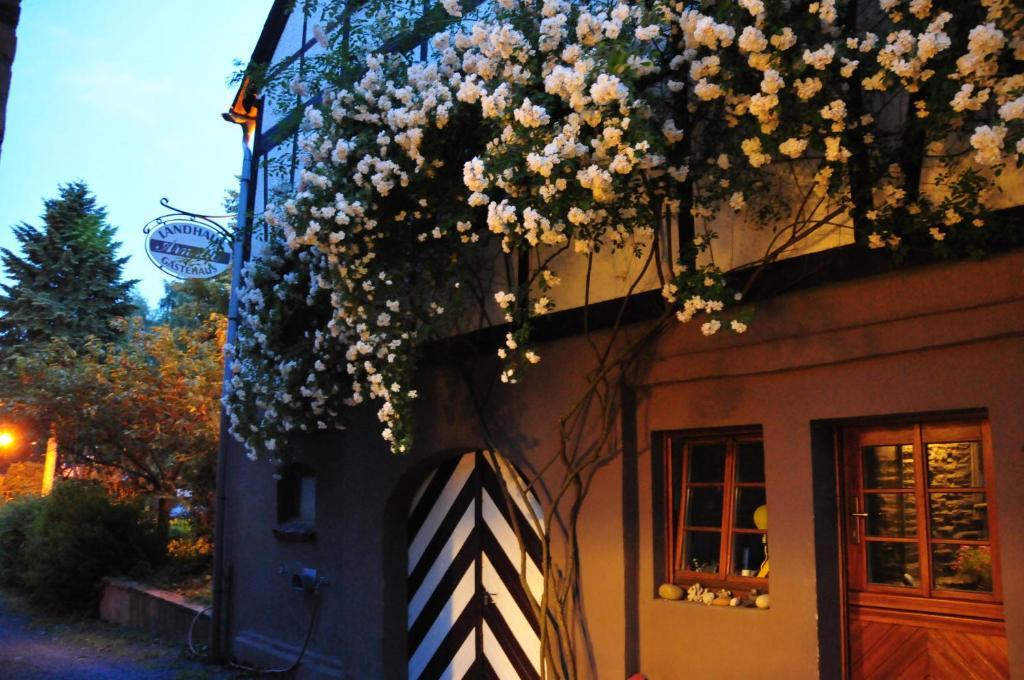 Landhaus Arnoth Kleinich Экстерьер фото