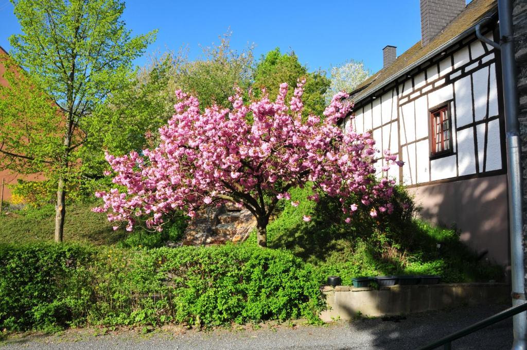 Landhaus Arnoth Kleinich Экстерьер фото